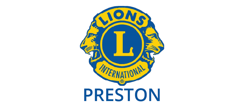 lions2